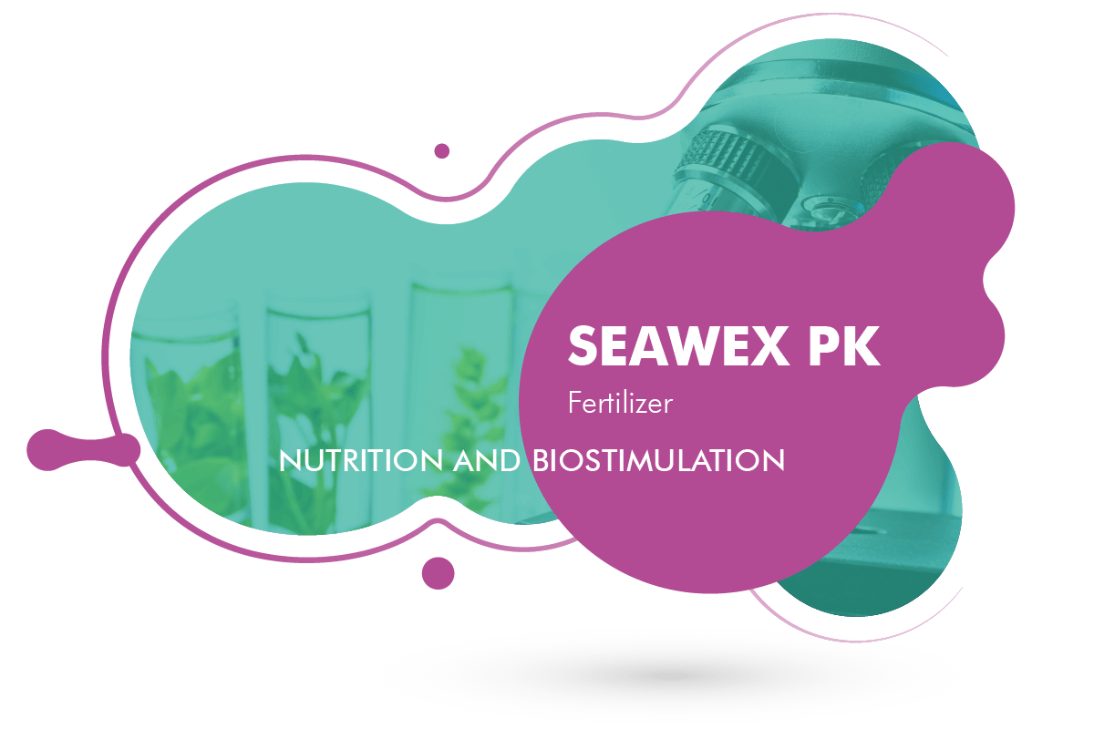 Seawex PK